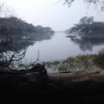 Sultanpur national park