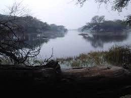 Sultanpur national park