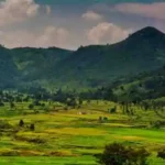Araku Valley