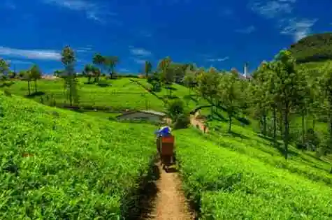 Best Places To Visit in Assam