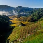Ziro Valley Arunachal Pradesh